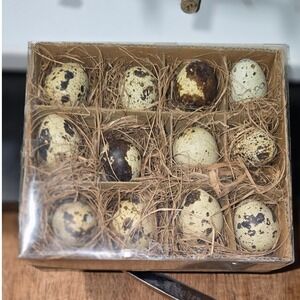 Emily Joubert Quail Eggshell Natural Speckled Decorative 12 Count Box genuine